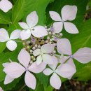 뚝섬한강공원-29 이미지