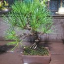 송백농장2 이미지