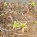 계산지구대 이미지