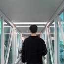 신천지시장 | [상하이] 신천지 거리/티엔즈팡 거리