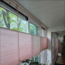 푸른하늘약국 이미지