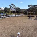 괘릉리 | 경주 애견동반 카페 괘릉 방문 후기