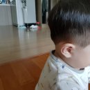 성연이엔씨 | [제니아이발기] _ 제니아바리깡 이발기 추천