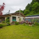 고성리산양목장 이미지