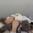 비비맨션 왁싱속눈썹전문 창원