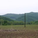 독립농장 이미지