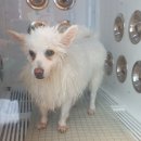 씻고가개 이미지