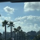 제주도5. 제주8월 동쪽 코스 정방폭포 서복전시관 섭지코지 백기해녀의집 성산일출봉 제주동쪽숙소...