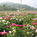 국골펜션 이미지