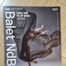 (공연) 체코 브르노 국립주니어 발레단 내한공연 이미지