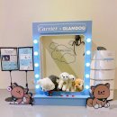 삼성애견 이미지