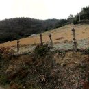 금오도공인중개사사무소 이미지