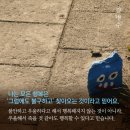 [마인드] "나 정도면 잘하고 있지" 라는 착각에 빠지는 이유 이미지