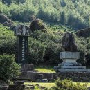 쌍계사 차나무 시배지(雙磎寺 茶樹 始培地) 이미지