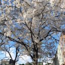 청구역 공중화장실 이미지