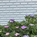금강장여관 - 천안시 동남구 은행길 5 | 금강장여관