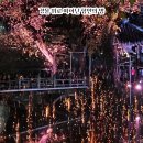 함안 낙화놀이 이미지