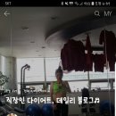 플러스도브 네이버블로그
