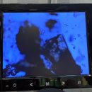 중부대로7 | 삼가동 피부관리 올가드림뷰티 삼가점 7일간의 선물 후기