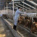 백신농장 이미지