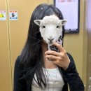 미금역미용실 추천 트리트먼트 클리닉 대만족 후기 | 포레스트헤어