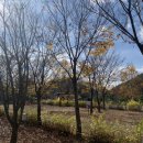 큐브존 캠핑장 이미지