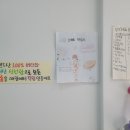 마카롱팩토리