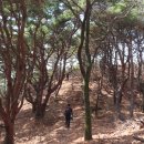 용두레마을 이미지