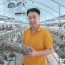 농업회사법인 옥천주식회사 뉴스1
