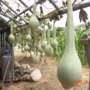 매전중학교 이미지