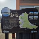 외연도마을회관 | [분류작업중] 충남보령 효자도 지의류 1부