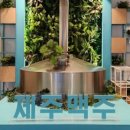 지연다방