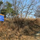 신하초 후문 삼거리 이미지