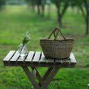 분도상사 이미지