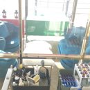 프로펫 애견 미용실 이미지