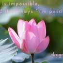 이태리안경원 이미지