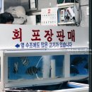 서준활어 이미지