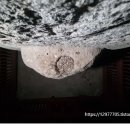 신안리석불입상 이미지