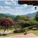 명품공인중개사사무소 이미지