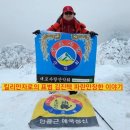 금호행정사 이미지