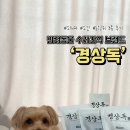 경상독 네이버블로그