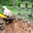 코끼리PC방 이미지