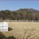 파라다