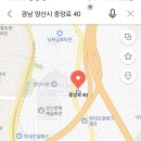 이팝나무 캐스팅 이미지