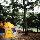 숲속에서 캠핑장 이미지