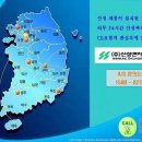 신성네트워크주