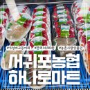 서귀포 농협 하나로마트 고등어회 가격 감동실화