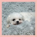 리하이브 이미지