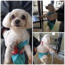 두곡서길 이미지