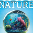 어반네이처 이미지